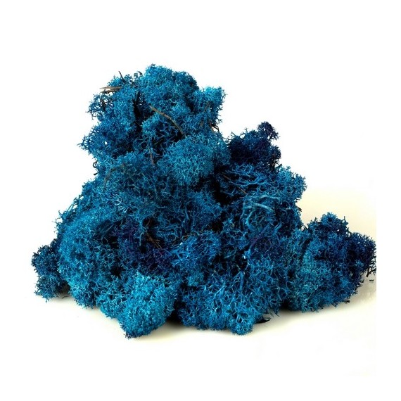LICHENE PREMIUM BAG 1 KG - BLUE 03
