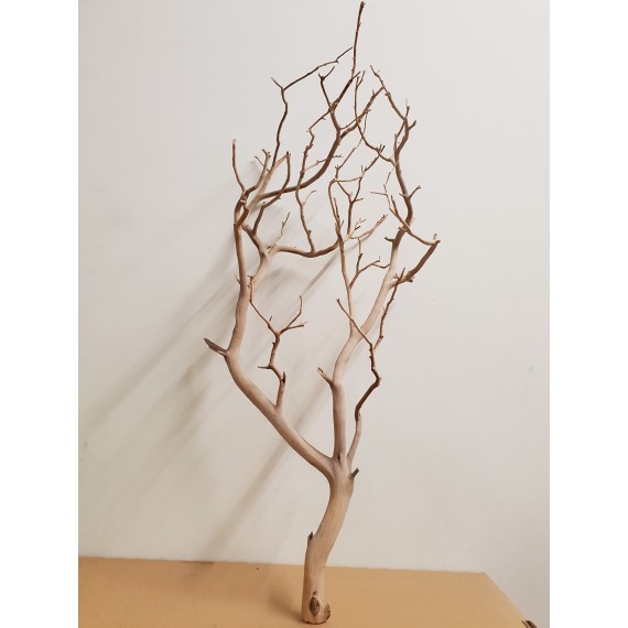 MANZANITE  H 80/90 CM