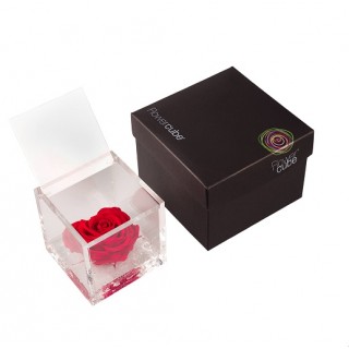 FLOWERCUBE ROSE HEART BACCARA 8X8 + PACKAGING - ROSSO/RED CUORE