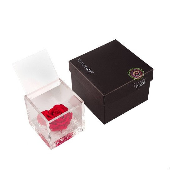 FLOWERCUBE HEART 8X8 + PACKAGING - ROSSO/RED CUORE