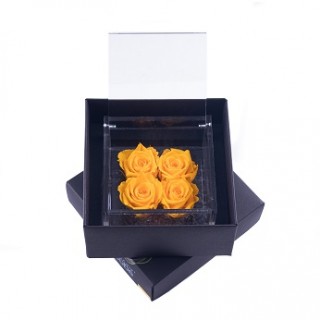 FLOWERCUBE 4  ROSE 10X10X6+ PACKAGING - COLORE GIALLO