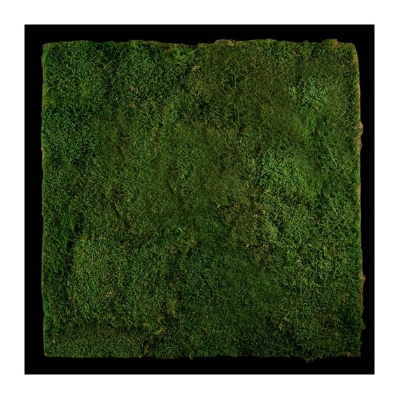GREEN MODULES - TEXTURE FLATMOSS - 75 X 75 cm