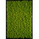 GREEN MODULES - TEXTURE LICHENE PREMIUM - 60 X 40 cm - COLORE MAY GREEN