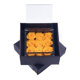 FLOWERCUBE 9  ROSE 15X15X8+ PACKAGING - COLORE GIALLO