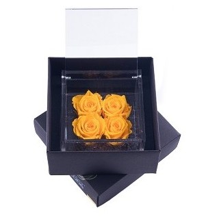 FLOWERCUBE 4  ROSE 15X15X8+ PACKAGING- COLORE GIALLO