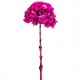 HYDRANGEA PREMIUM d.18/22 cm - h 60/70 cm FUCSIA