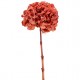 HYDRANGEA PREMIUM d.20/25 cm - h 50 cm CORAL