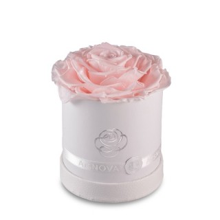 FEELING - FLOWERBOX WHITE - 1 MAXI ROSE d.12 cm + PACKAGING - PINK COLOR