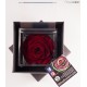 FLOWERCUBE ROSA 10X10 + PACKAGING - BORDEAUX/BURGUNDY