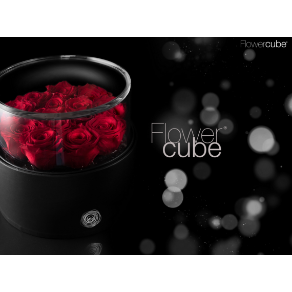 FLOWERCUBE PLATINUM CYLINDER 12 ROSES d. 200 X h 100 + PACKAGING - RED COLOUR