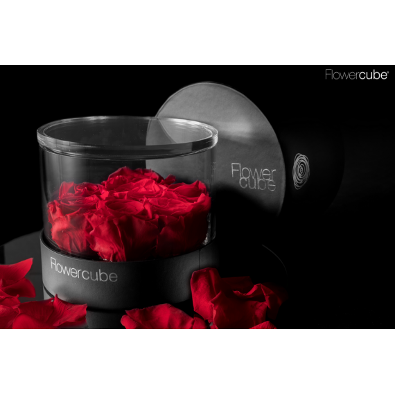 FLOWERCUBE PLATINUM CILINDRO 7 ROSE d.150 X h 110 + PACKAGING - COLORE ROSSO