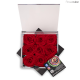 FLOWERCUBE 9  ROSE 15X15X8+ PACKAGING - COLORE ROSSO