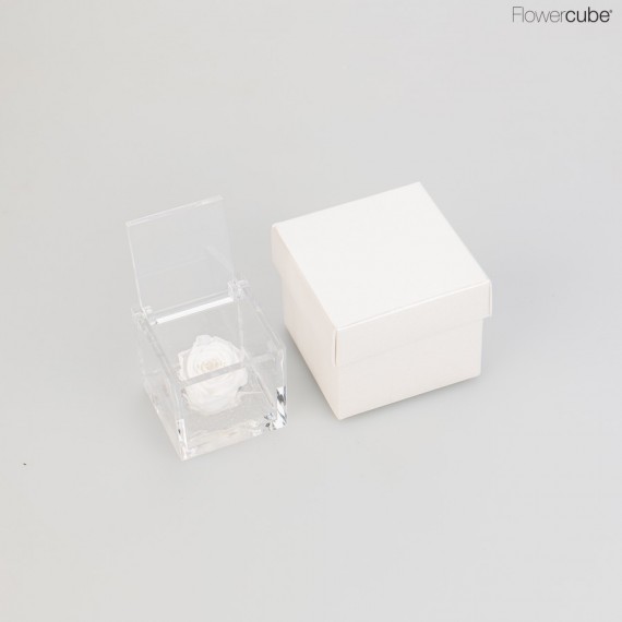 MINI FLOWERCUBE cm 4,5X4,5 ROSA PRECIOUS - scatola bianca + borsa bianca - COLORE BIANCO