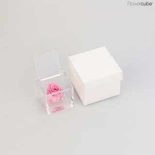 MINI FLOWERCUBE cm 4,5X4,5 ROSA PRECIOUS - scatola bianca + borsa bianca - COLORE ROSA