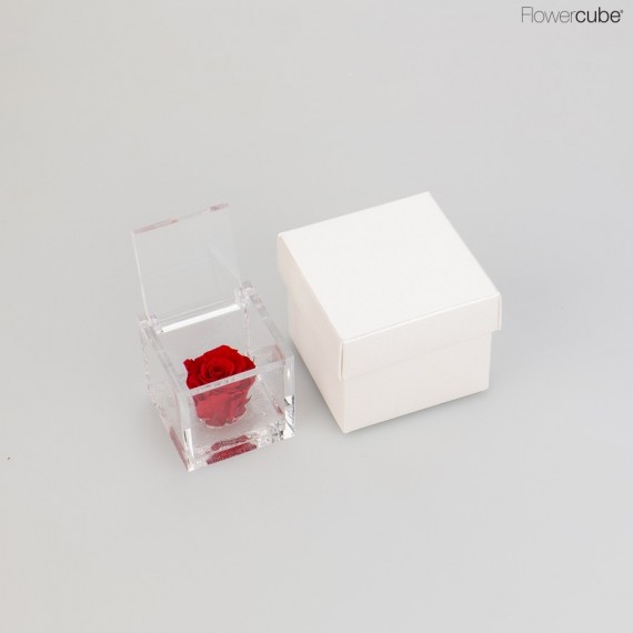 MINI FLOWERCUBE cm 4,5X4,5 ROSA PRECIOUS - scatola bianca + borsa bianca - COLORE ROSSO