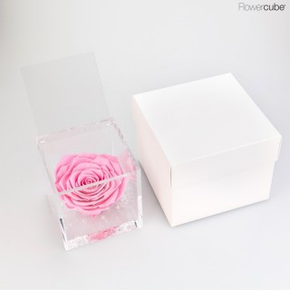 FLOWERCUBE cm 10X10 ROSA GRAN PRIX PROFUMATA - scatola bianca + borsa bianca - COLORE ROSA