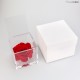 FLOWERCUBE cm 10X10 ROSA GRAN PRIX PROFUMATA - scatola bianca + borsa bianca - COLORE ROSSO