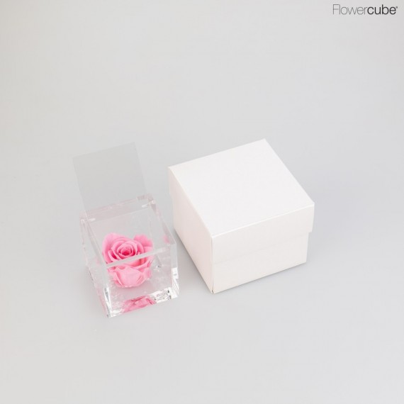 FLOWERCUBE cm 6X6 ROSA CHERIE PROFUMATA - scatola bianca + borsa bianca - COLORE ROSA