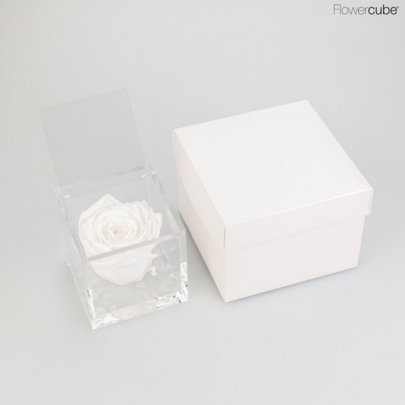 FLOWERCUBE cm 8X8 ROSA BACCARA PROFUMATA - scatola bianca + borsa bianca - COLORE BIANCO