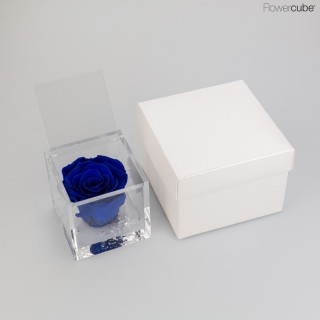 FLOWERCUBE cm 8X8 ROSA BACCARA PROFUMATA - scatola bianca + borsa bianca - COLORE BLU
