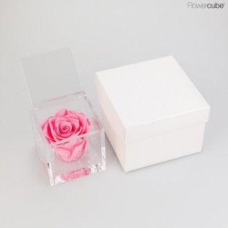 FLOWERCUBE cm 8X8 ROSA BACCARA PROFUMATA - scatola bianca + borsa bianca - COLORE ROSA