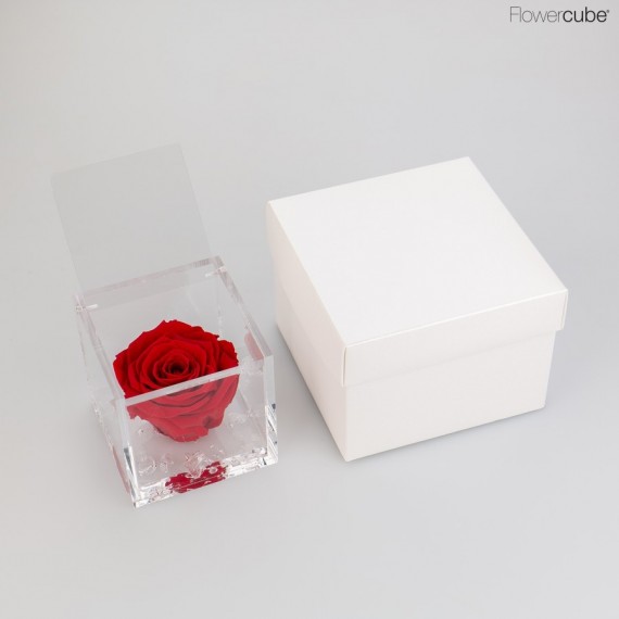 FLOWERCUBE cm 8X8 ROSA BACCARA PROFUMATA - scatola bianca + borsa bianca - COLORE ROSSO