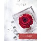 FLOWERCUBE ROSA 8X8 + PACKAGING - COLORE  ROSSO