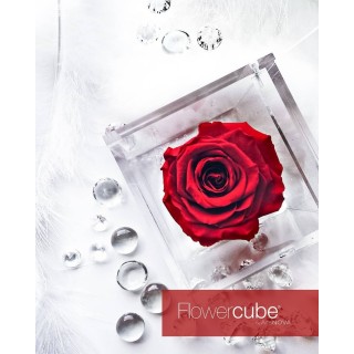 FLOWERCUBE ROSA 8X8 + PACKAGING - ROSSO/RED