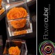 FLOWERCUBE ROSA 8X8 + PACKAGING - COLORE ARANCIO