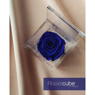 FLOWERCUBE ROSA 8X8 + PACKAGING - COLORE BLU