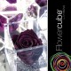 FLOWERCUBE ROSA 8X8 + PACKAGING - VIOLA/PURPLE