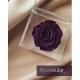 FLOWERCUBE ROSA 8X8 + PACKAGING - VIOLA/PURPLE