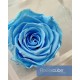 FLOWERCUBE ROSA 8X8 + PACKAGING - AZZURRO/LIGHT BLUE