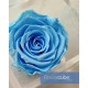 FLOWERCUBE ROSA 6X6 + PACKAGING - AZZURRO/LIGHT BLUE
