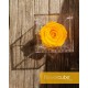 FLOWERCUBE ROSA 10X10 + PACKAGING - GIALLO/YELLOW