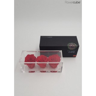 FLOWERCUBE 3  ROSE 20X8X8 + PACKAGING - COLORE ROSSO