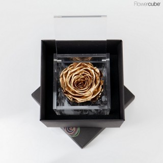 FLOWERCUBE ROSA 8X8 + PACKAGING - COLORE GOLD