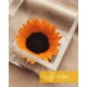 FLOWERCUBE SUNFLOWER 8X8 + PACKAGING - GIRASOLE