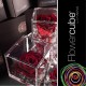 FLOWERCUBE ROSA 10X10 + PACKAGING - BORDEAUX/BURGUNDY