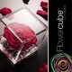 FLOWERCUBE ROSA 10X10 + PACKAGING - CORALLO/CORAL