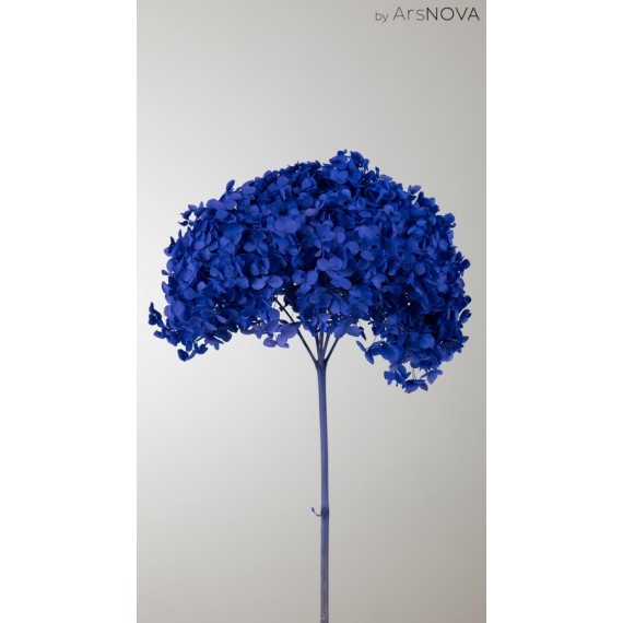 HYDRANGEA MINI d.18/22 cm - h 50/60 cm BLUE