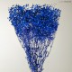 GYPSOPHILA PREMIUM BLUE h.70 cm.120 gr.