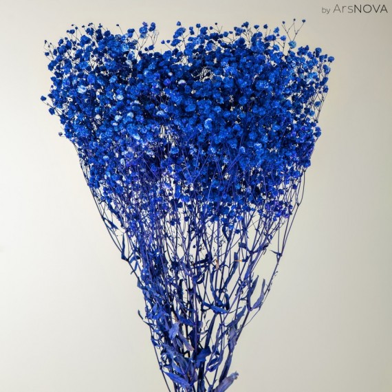 BLUE GYPSOPHILA  h.80 cm.50 gr.