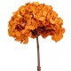 HYDRANGEA PREMIUM d.18/22 cm - h 30 cm  ORANGE