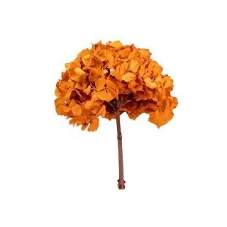 HYDRANGEA PREMIUM d.18/22 cm - h 30 cm  ORANGE