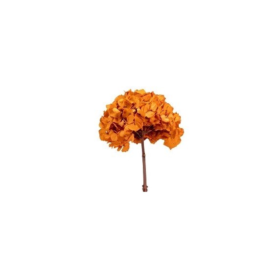 HYDRANGEA PREMIUM d.18/22 cm - h 30 cm  ORANGE