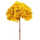 HYDRANGEA PREMIUM d.18/22 cm - h 30 cm  YELLOW