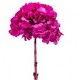 HYDRANGEA PREMIUM d.18/22 cm - h 30 cm FUCHSIA