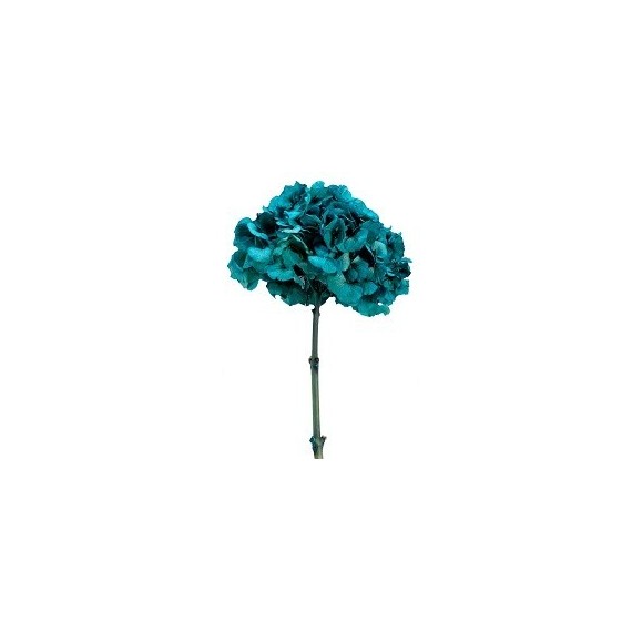 HYDRANGEA PREMIUM d.18/22 cm - h 30 cm  TEAL