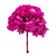 HYDRANGEA PREMIUM d.18/22 cm - h 60/70 cm FUCSIA